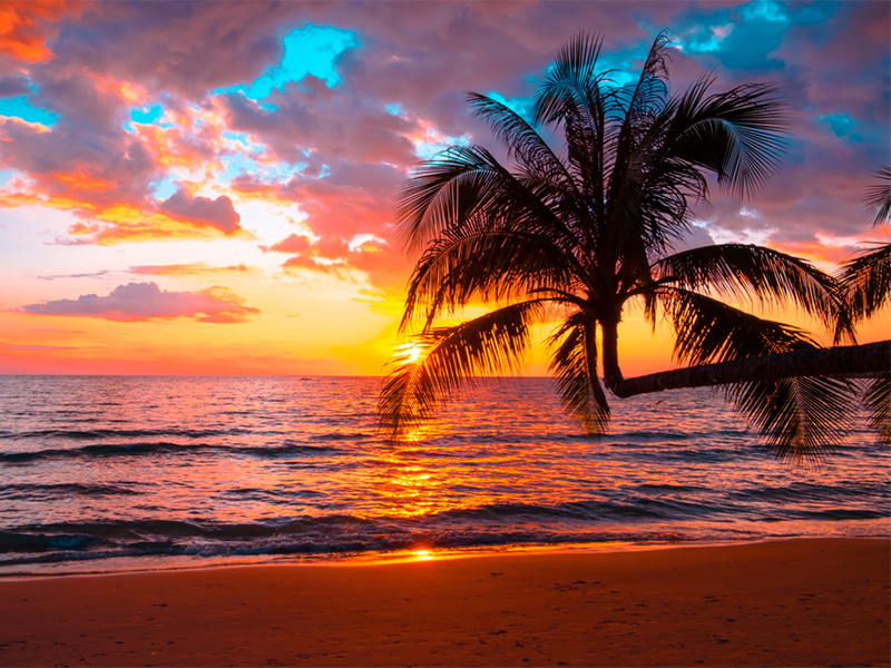 تور کیش - کاماپرس